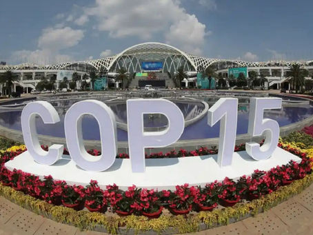 🌍✨ Brasil brilha na COP15: Liderança na proteção de espécies migratórias