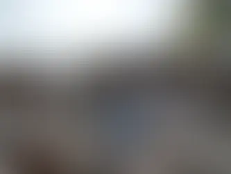 🏙️ Ação nas Cidades: Natureza como aliada contra crises climáticas