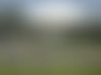 🚨Ataque à democracia: sedes dos Três Poderes são invadidas em Brasília