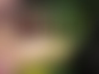 🎬 Wicked: Parte 1 estreia nos cinemas e encanta fãs de musicais ✨🧙♀️