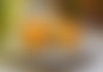 🥟🌿 Empada saudável: leve, prática e deliciosa