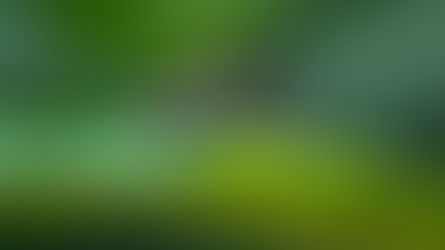 🦟💉 Combate à Doença de Chagas ganha reforço com novo investimento