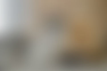 🐾 Como Apresentar um Pet Novo ao Antigo: Guia Seguro Para uma Boa Convivência