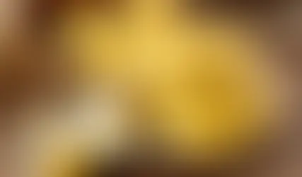 🥗🦠 4 dos melhores alimentos para a saúde intestinal