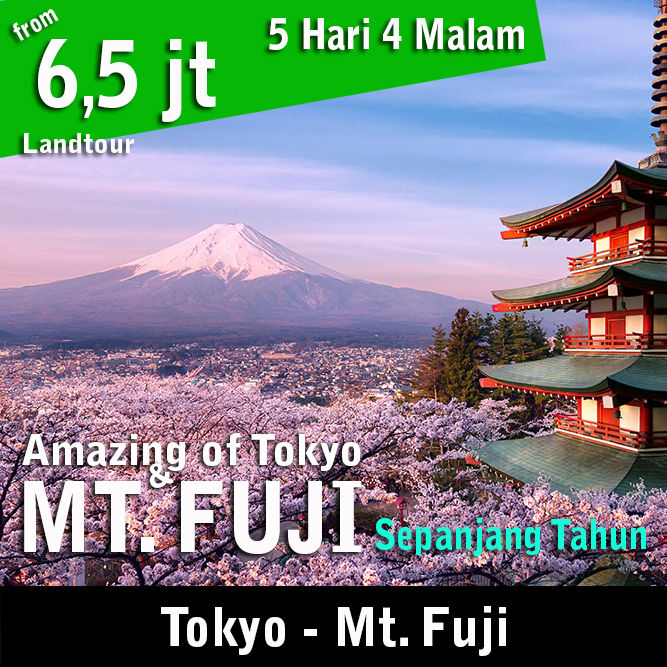 Amazing of Tokyo & Mt