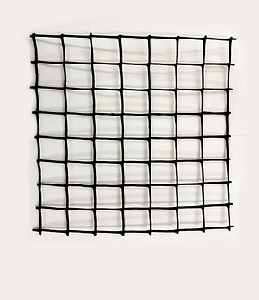 Large black fencing.jpg