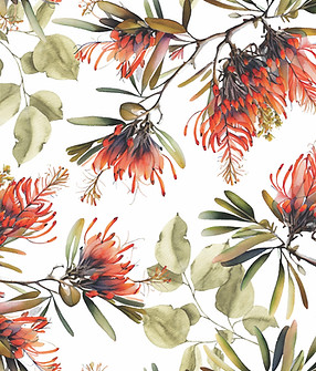 CORAL TREE 60x60cm.jpg
