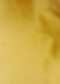 AMBER