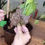 Thumbnail: Carnivorous Plant Garden Kit