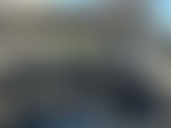 Pisana, il giorno dopo l'incendio: "Qui abbandonati a noi stessi"