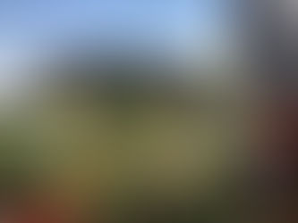 Ama protagonista al Festival del Verde e del Paesaggio 2025