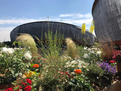 Ama protagonista al Festival del Verde e del Paesaggio 2025