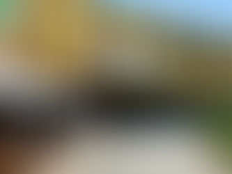 Consulenze telefoniche gratuite al Grassi il 21 e 22 novembre: con assistente sociale e referente codice rosa