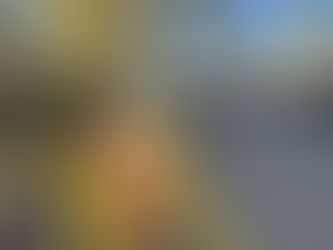 Alberi caduti, oltre 20 indagati tra omicidio colposo e cattiva gestione del verde urbano [VIDEO]