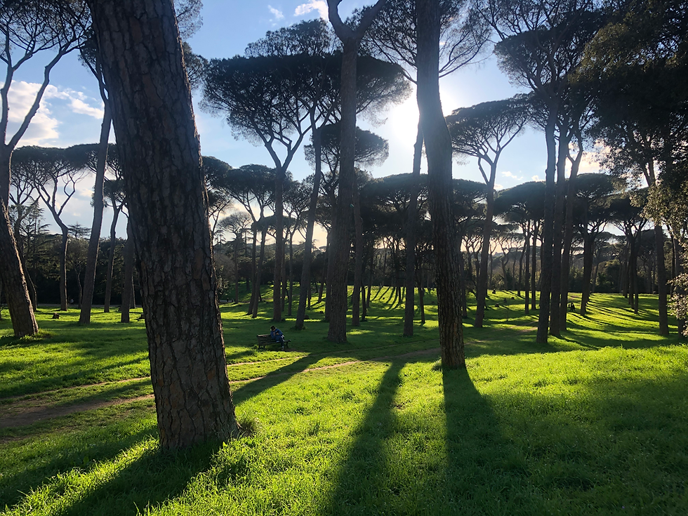 Villa Pamphilij (La Capitale)