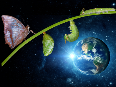 A Roma la «Giornata della consapevolezza»: scienza, cultura e musica per esplorare la complessità della vita