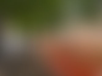 Associazioni Esquilino: «No alle cancellate in viale Pretoriano»