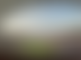 Roma-Eintracht Francoforte all'Olimpico: come cambia la viabilità per il match di Europa League