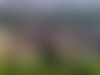 Fiamme a Regina Coeli, Uilpa: “Ridurre sovraffollamento”