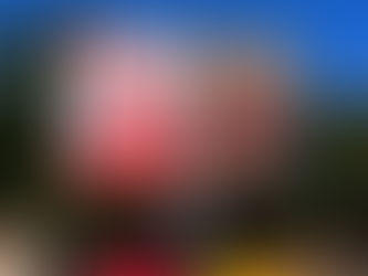 I manifesti della Lega anti-occupazioni a Roma stigmatizzano un problema diffuso in tutta Italia