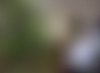 Papa Francesco oggi in visita privata al carcere di Regina Coeli