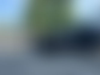 Sicurezza a Ponte di Nona: più di 90 identificati e 2 denunce