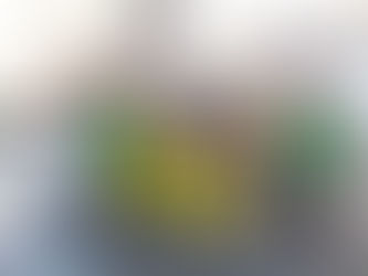 Un maiale gigante davanti al Parlamento: «Oltre gli allevamenti intensivi» [VIDEO]