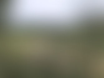 Il 12 ottobre a Roma è «Sabato blu», la Giornata del Camminare: 15 percorsi in città