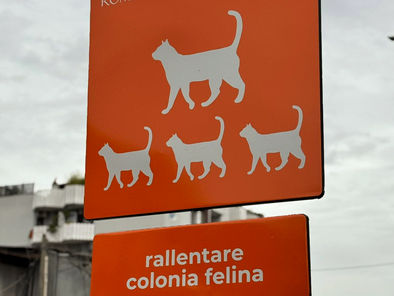In via Portuense è stata installata una palina per proteggere una colonia felina