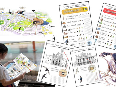 «Le Ali del Giubileo»: la prima mappa illustrata degli uccelli nelle chiese e nei monumenti di Roma