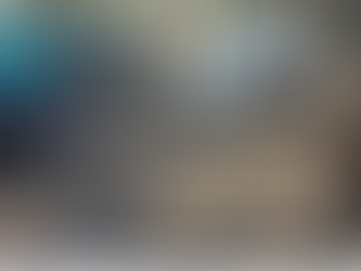 Balduina, intervento anti-degrado nel Parco del Pineto: rimossi rifiuti e tende abusive