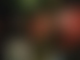 Forzate e abbattute le cancellate in viale Pretoriano, centri sociali in azione: «Basta sgomberi»