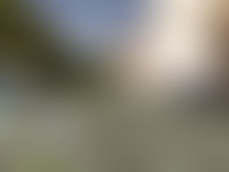 Il Grab su via Guido Reni: «La ciclovia ostacolata da chi difende i posti auto»