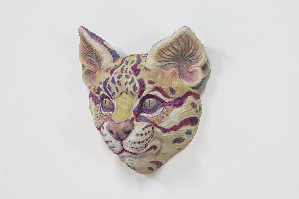 wild cat 3-1