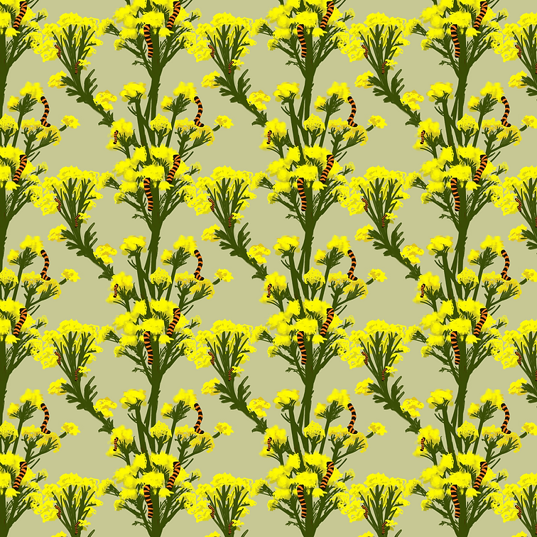 e917ac_456b5ae10dc0475392efa65e9d69e060~mv2_d_5000_5000_s_4_2.webp