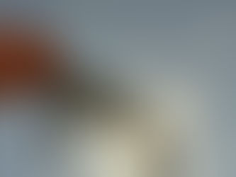 Prescription 100% Sunglasses with SVED Rx Insert