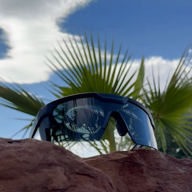 Desert Palm Tree Heat Wave Sunglasses