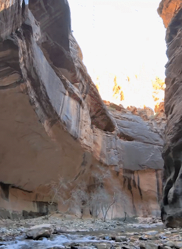 Hiking The Narrows at Zion National Park with Oakley Meta Vanguard POV
