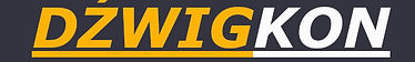 logo nowoczesne dzwigkon_edited.jpg