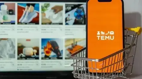 [Logistics Update] TEMU’s Semi-Fulfillment Model – How to Capitalize on This Opportunity with Overseas Warehousing