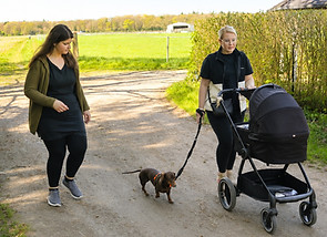 Hundetraining Mönchengladbach, Joyful Dog