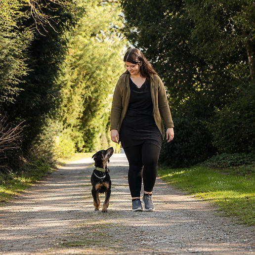Hundetraining Mönchengladbach, Joyful Dog