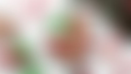 Receitinhas de Natal: Biscoitos Natalinos Fáceis de Fazer com a Família Toda