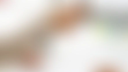 Responsabilidade Solidária e Vínculos Empregatícios de Empresas Terceirizadas: Entenda a Legislação Trabalhista