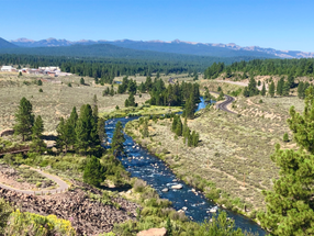 A landscape in Truckee, California 