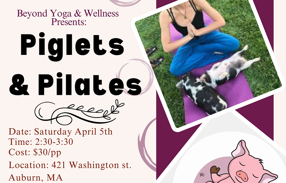 Piglets & Pilates.png