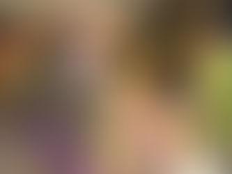 あたたかさに誘われて、日向ぼっこをしました