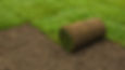 20180220-Turf-laying-image-1-1.jpg