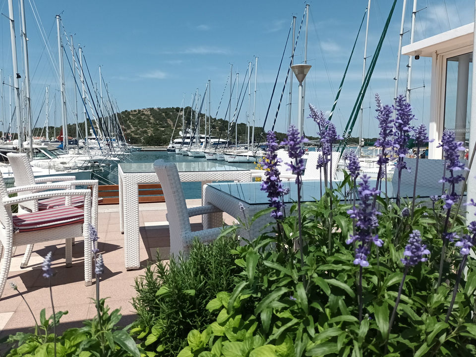 marina betina reception