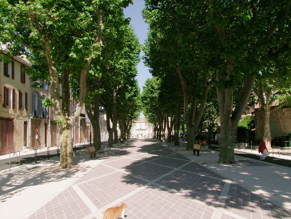 Stephane Comby Rougier Le Cours